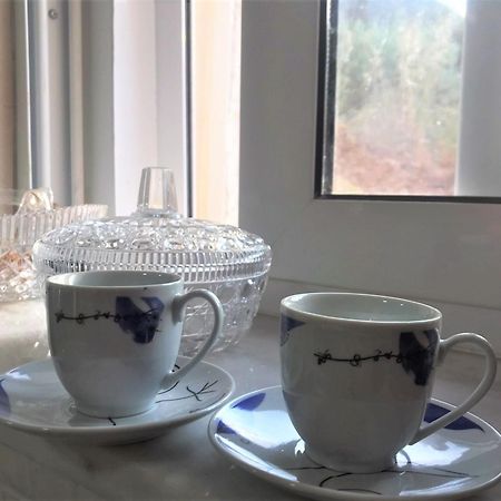 הוילה לאונידיון Metaxias House מראה חיצוני תמונה